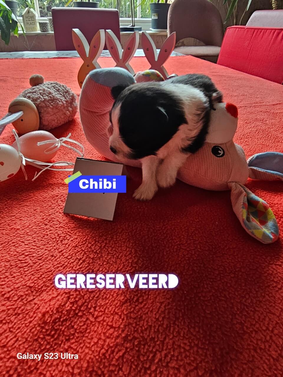 GridArt_20250410_120229386 groot